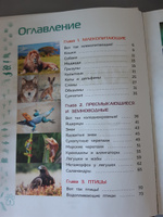 Животные. Большая детская энциклопедия #2, Юдина Ольга