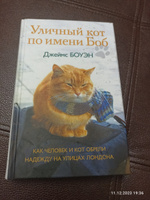 Уличный кот по имени Боб. Как человек и кот обрели надежду на улицах Лондона | Боуэн Джеймс #7, Татьяна Д.