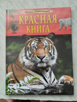 Красная книга. Детская энциклопедия школьника 7 лет. Редкие и исчезающие животные | Шейх-Миллер Джонатан #2, евгения п.