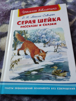 Внеклассное чтение по школьной программе. Дмитрий Мамин-Сибиряк. Серая шейка. Рассказы и сказки. Книга для детей, развитие мальчиков и девочек #1, Мария С.