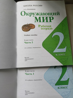 Окружающий мир 2 класс Комплект Рабочая тетрадь В 2-х частях | Плешаков А. #1, Надежда А.