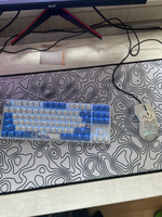 Игровая клавиатура Red Square Keyrox TKL Aquarius (RSQ-20036) G3ms Amber Switch белый/голубой Русская раскладка USB #96, Костя Д.