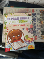 Книга детская, БУКВА-ЛЕНД "Первая книга для чтения по слогам", 23 сказки, 48 стр., обучающая, развивающая, для детей | Сачкова Евгения Камилевна #3, Аня А.