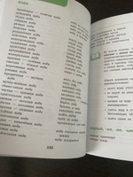 Школьный тематический словарь 1-4 класс ФГОС. ГРАМОТА | Саломатина Лариса Сергеевна #6, Ирина В.