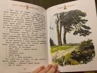 Милн А. Винни-Пух и все-все-все. Сказки в переводе Бориса Заходера | Милн А. А. #3, Елена А.