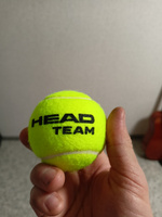 Мячи теннисные Head, Мячи для тенниса #7, Марат