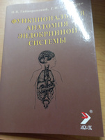 Функциональная анатомия эндокринной системы. Учебное пособие #1, Людмила И.