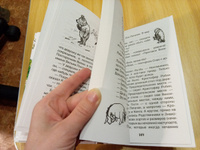 Милн А. Винни-Пух. Внеклассное чтение 1-5 классы Сказка Приключения Перевод Бориса Заходера | Милн Алан Александер #8, Валерия Г.