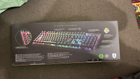 Razer Игровая клавиатура проводная BlackWidow V4 X, (Razer Yellow), Русская раскладка, черный #7, Павел А.