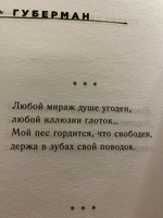 Первый Иерусалимский дневник | Губерман Игорь Миронович #7, Артём Н.