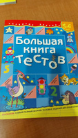 Большая книга тестов. 5-6 лет | Щербинина Светлана Владимировна, Топоркова Ирина #3, Светлана В.