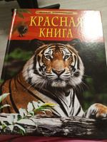 Красная книга. Детская энциклопедия школьника 7 лет. Редкие и исчезающие животные | Шейх-Миллер Джонатан #7, Валентина Б.