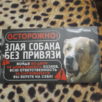 Табличка, на забор, DANGER DOG, Осторожно! Во дворе собака без привязи, Алабай, 25x14 см #1, Алексей Р.