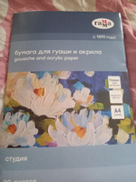 Бумага для гуаши и акрила Гамма Студия 20 листов, А4, 180 г/м2 #23, Светлана Б.