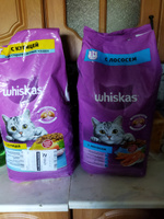 Whiskas корм для взрослых стерилизованных кошек всех пород, подушечки с курицей 5 кг #35, Галина Петровна М.