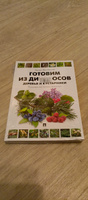 Готовим из дикоросов. Вишневский Михаил. Замятина Наталья. Здоровое питание Готовка Дикоросы книга. | Вишневский Михаил Владимирович #1, Влад К.