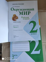 Окружающий мир 2 класс Комплект Рабочая тетрадь В 2-х частях | Плешаков А. #4, Ренат П.