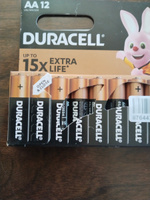 Duracell Внешний аккумулятор Алкалиновые #61, Сергей Х.