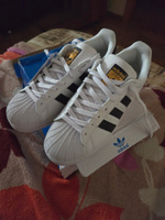 Кроссовки adidas Originals Superstar #25, Светлана В.