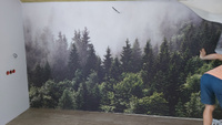 Флизелиновые бесшовные обои на стену, фотообои лес #7, Yulia P.