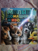 Книга для малышей (раннее развитие, 0+ лет) Милые домашние животные #1, Владимир М.