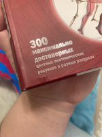 Современный атлас анатомии человека. Карманное пособие по строению костей, мышц, миофасциальных цепей и принципам движения тела | Джарми Крис #8, Юлия К.