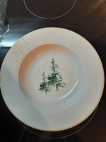 Набор Столовой Посуды Arya из Костяного фарфора, на 6 персон, 24 пр. Pine Белый, зеленый #92, Татьяна А.