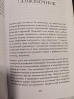 Человек сутулый. Как занятым и ленивым добиться идеальной осанки | Устинов Алексей Владимирович #3, Д-р. П