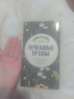 Лечебные травы. Иллюстрированный справочник-определитель | Ильина Татьяна Александровна #3, Вера К.