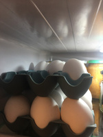 Контейнер для хранения яиц в холодильнике, подставка для яиц 15 ячеек, цвет серый #2, Гузель Я.