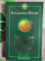 Звенящие кедры России. Второе издание | Мегре Владимир Николаевич #1, Людмила З.