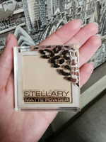 Pressed powder Компактная пудра для лица Stellary, шелковистая текстура с матирующим эффектом для всех типов кожи, тон 03, цвет: тепло-бежевый, 7 г #55, Алена В.