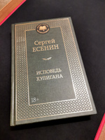 Исповедь хулигана | Есенин Сергей Александрович #6, Дорошенко Андрей