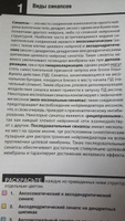 Неврология. Атлас-раскраска с рисунками Неттера #1, Яна А.