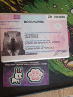 Обложка на паспорт бобр мем #57, Виктор К.