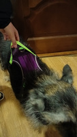 Шлейка для собаки, с подкладкой и светоотражающими полосками, размер XL, обхват груди 68-93 см, фиолетовый #1, Марина Н.