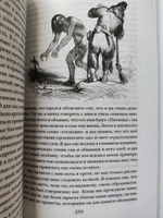 Жизнь и удивительные приключения Робинзона Крузо (ил. Ж. Гранвиля, А. Тирие). Внеклассное чтение | Дефо Даниель #6, Анастасия Я.