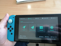 Набор для Nintendo Switch Picofly (Rev1(HAC-001), Rev2(HAC-001(01)) #56, Морозов Сергей