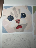 Картина по номерам 'Эмоции белого котика Мем Кот 40х60' #74, Софья З.