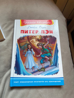 Внеклассное чтение. Д. Барри. Питер Пэн. Издательство Омега. Книга для детей, развитие мальчиков и девочек | Барри Джеймс Мэтью #15, Ирина Ш.