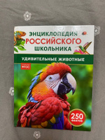 Удивительные животные. 250 фактов. Энциклопедия российского школьника. Для детей 6-10 лет #4, Елена Б.