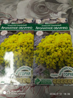 Алиссум скальный АРОМАТНОЕ ОБЛАЧКО, 2 пакета, семена 0,1 гр, Евросемена #27, Василий Д.