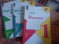 Школа России. 1 класс. 2024 год. Комплект рабочих тетрадей : прописи, математика, окружающий мир | Горецкий Всеслав Гаврилович, Моро Мария Игнатьевна #6, Людмила Ф.