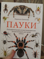 Пауки. Познавательная иллюстрированная энциклопедия для всей семьи | Семенова Людмила Семеновна #6, Антон Р.