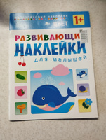 Цвет. Развивающие наклейки для малышей #4, Татьяна К.