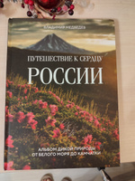 Путешествие к сердцу России. Альбом дикой природы от Белого моря до Камчатки | Медведев Владимир Вячеславович #3, Romanova Elena