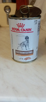 Royal Canin Gastrointestinal Low Fat (паштет) Влажный диетический корм для собак при нарушениях пищеварения #1, Лейсан Ф.