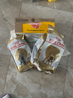 Влажный корм Pedigree для собак миниатюрных пород, паштет с курицей, 28 шт по 80 г #18, ирина з.
