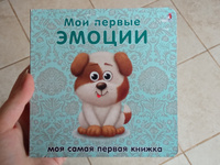 Книжки-картонки Мои первые эмоции #1, Ксения Л.