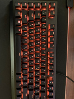 Razer Игровая клавиатура проводная BlackWidow V4 X, (Razer Green), Русская раскладка, черный #4, Артем В.